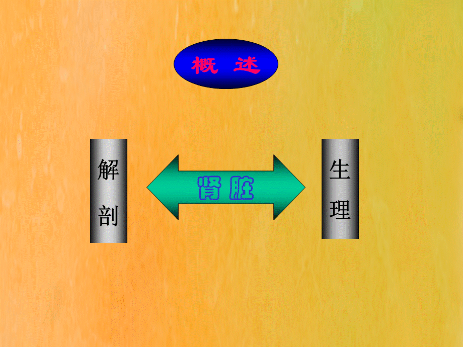 肾脏疾病病人的麻醉ppt医学课件优质PPT.ppt_第3页