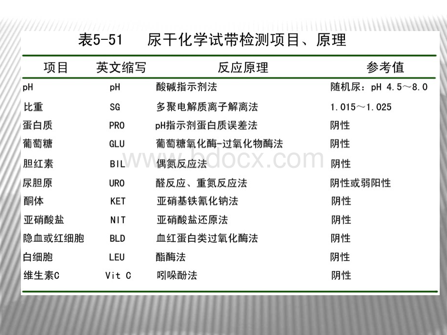 尿液常规检查详细版ppt课件.pptx_第3页