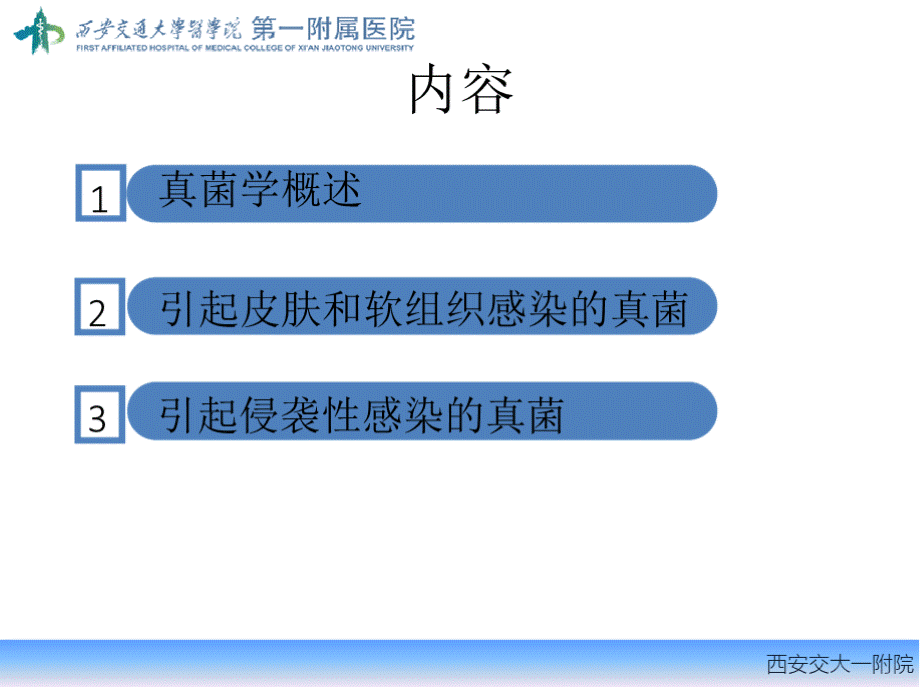 真菌基础及常见真菌的鉴定PPT课件PPT推荐.pptx_第2页