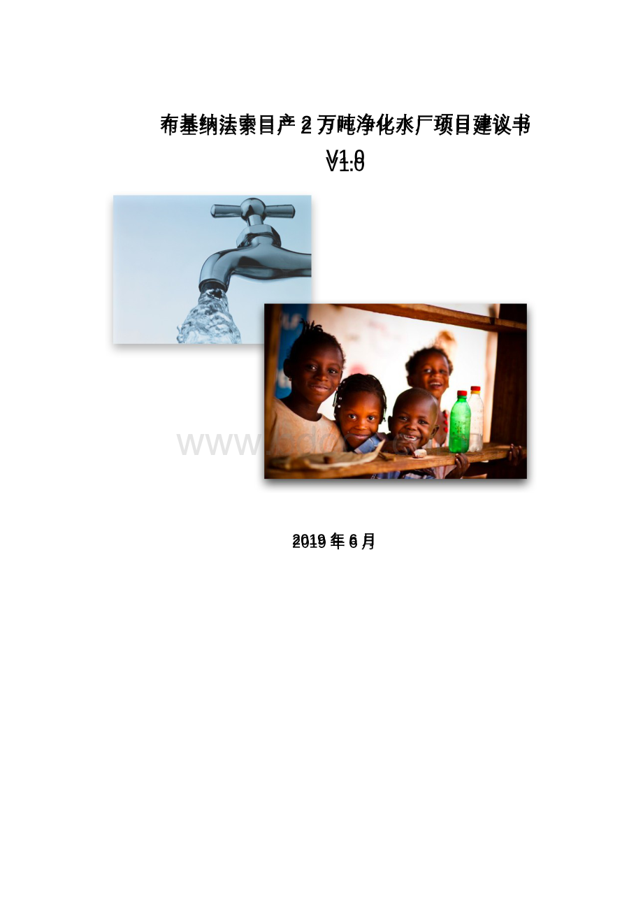 布基纳法索净化水厂项目建议书V1.0.docx_第1页