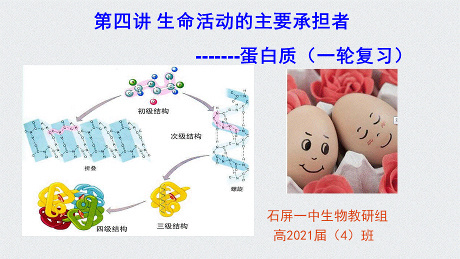 生命活动的主要承担者蛋白质公开课一轮复习.pptx_第1页