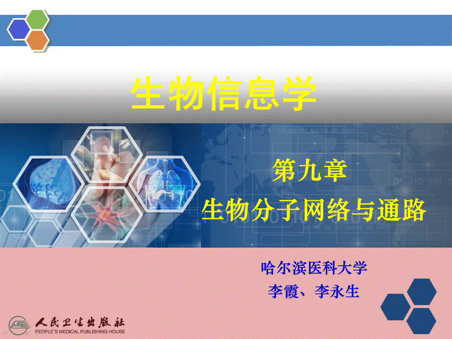 第九章-生物分子网络与通路PPT资料.ppt_第2页