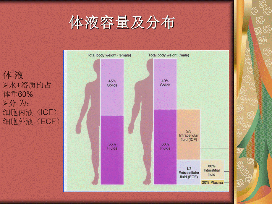 水电解质、酸碱平衡紊乱优质PPT.ppt_第2页