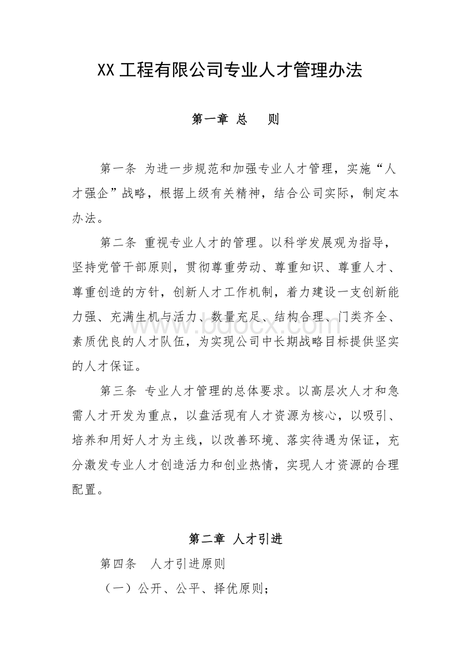 专业技术人才管理办法Word文档格式.doc