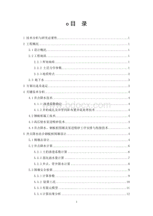 深基坑井点降水结合钢板桩围堰综合防护技术Word文档下载推荐.doc