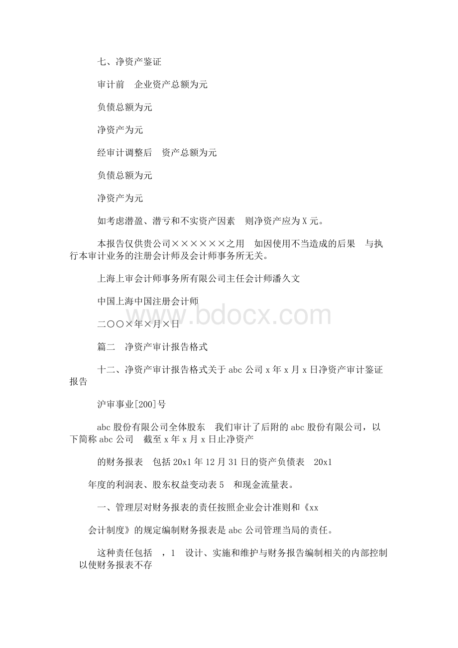 净资产专项审计报告模板Word格式.docx_第3页