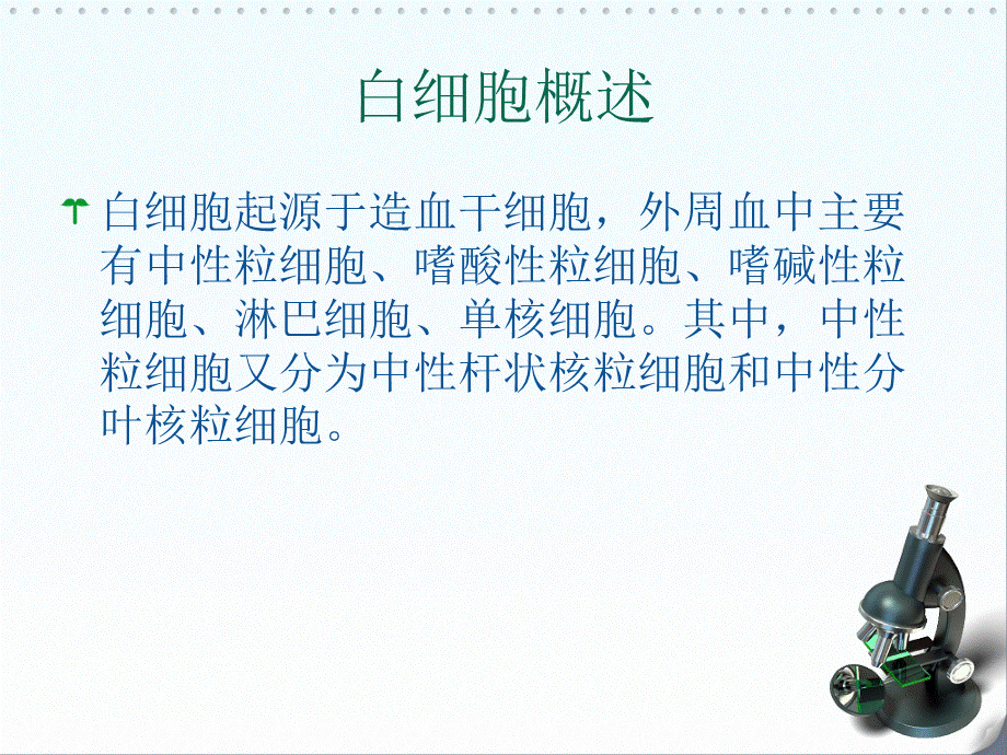 白细胞形态与分类PPT资料.ppt_第3页