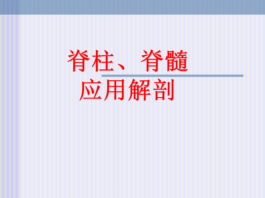 脊柱解剖图(免费).ppt_第2页