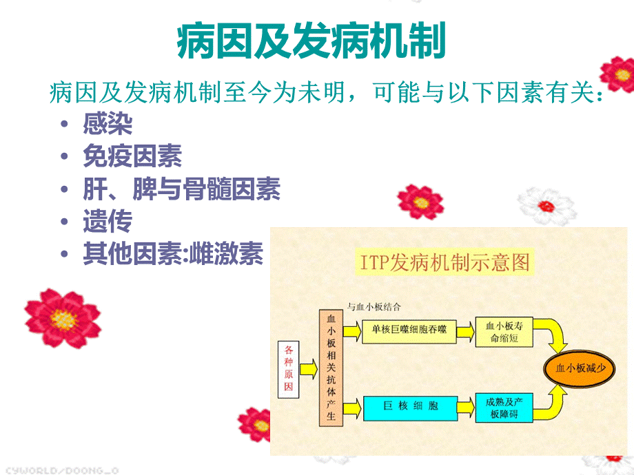 特发性血小板减少性紫癜患者护理查房.ppt_第3页