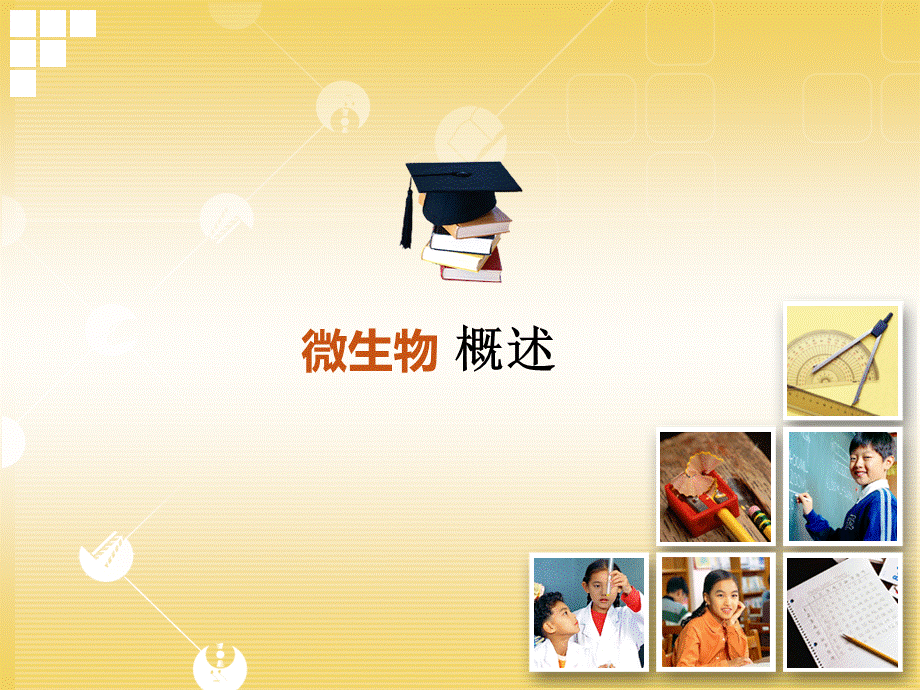 医学微生物学概述ppt.pptx