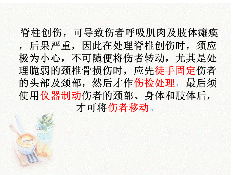 脊椎固定板.ppt_第3页