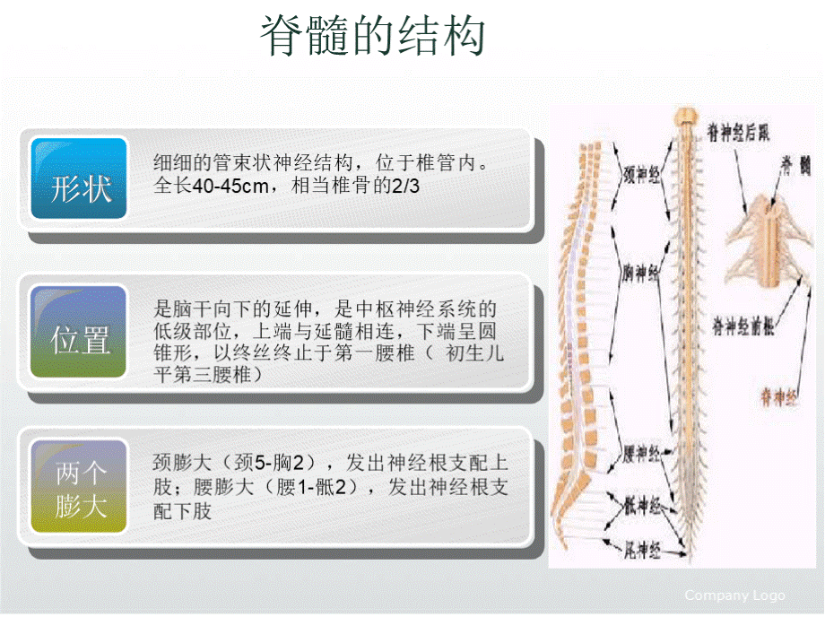 高位截瘫患者的护理PPT课件PPT资料.pptx_第3页