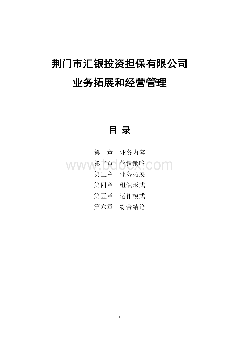 (业务拓展)融资性担保公司经营发展战略和规划范本Word下载.doc