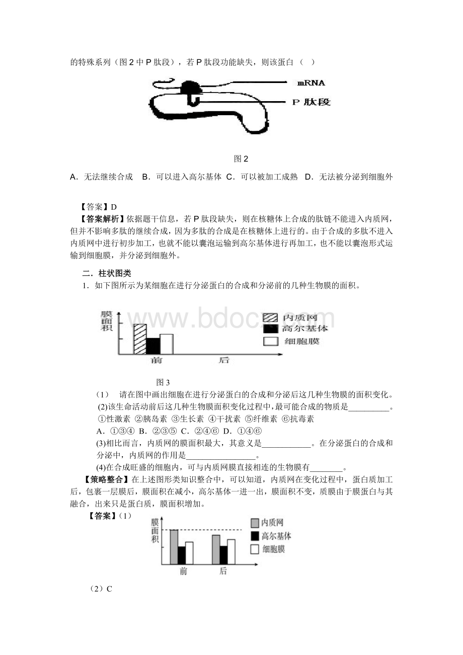 以分泌蛋白为例分析膜面积的变化.doc_第2页