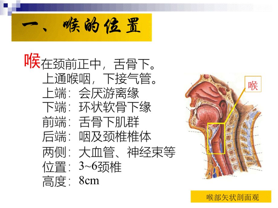 喉癌护理查房汇总..pptx_第3页