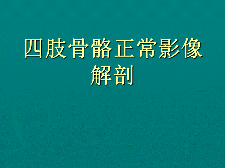 影像解剖PPT文档格式.ppt_第2页