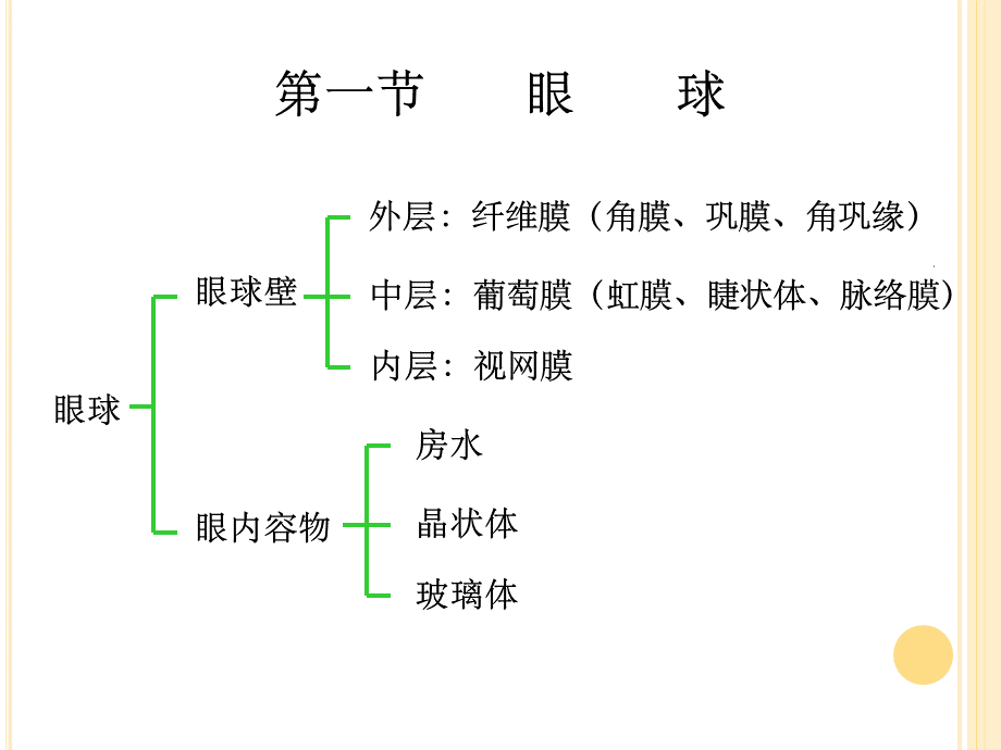 眼的解剖与生理PPT资料.ppt_第3页