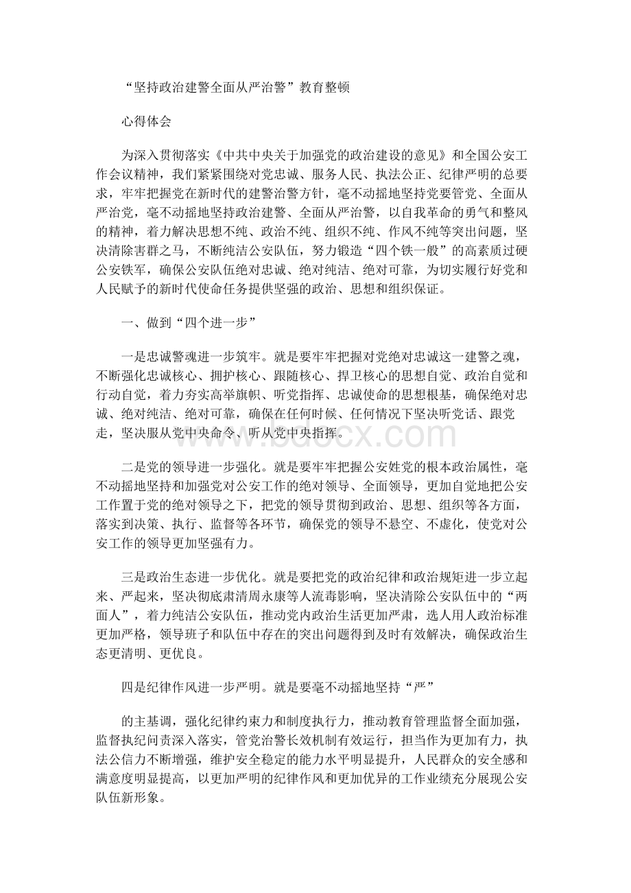 “坚持政治建警全面从严治警”教育整顿的心得体会.docx