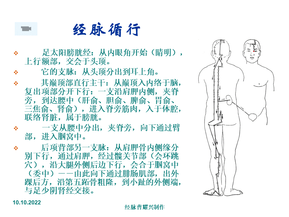 足太阳膀胱经.ppt_第3页