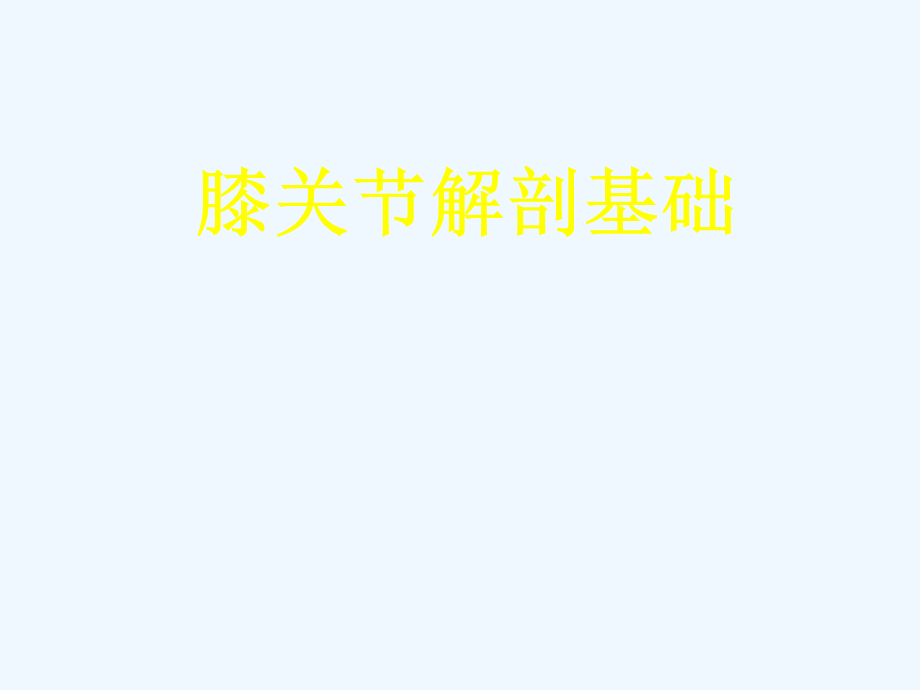 膝关节解剖基础课件PPT资料.ppt