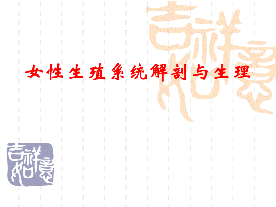 女性生殖系统解剖与生理.ppt