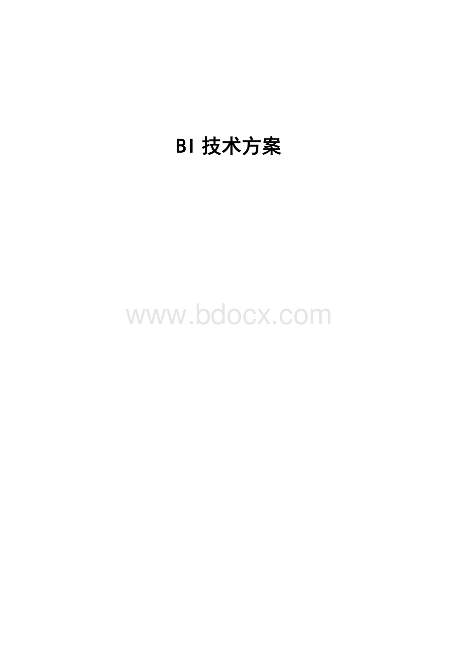 BI技术方案Word文档格式.doc