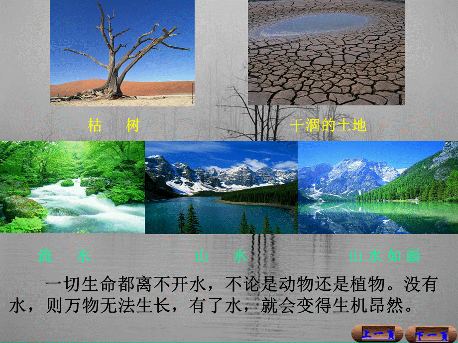 植物对水分的吸收和利用(制作).ppt_第2页