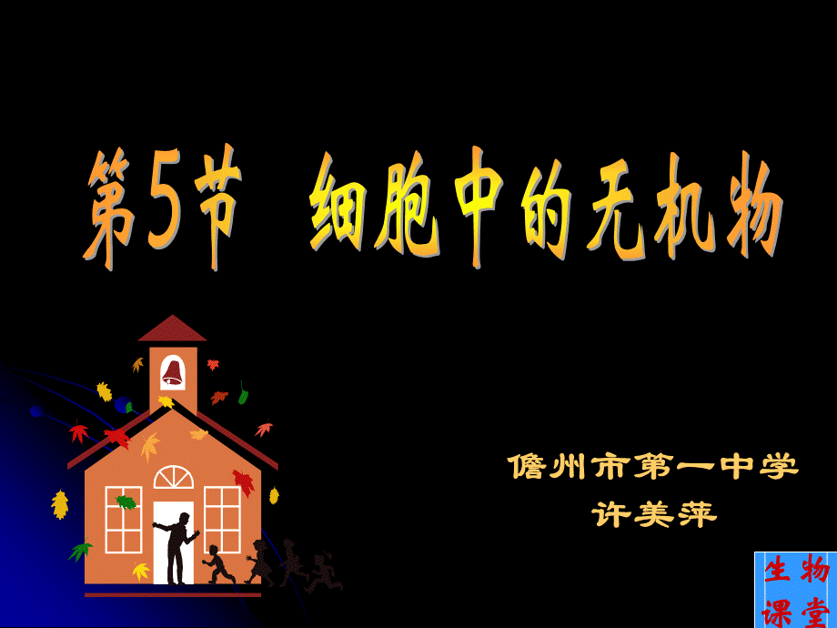 细胞中的有机物课件2.ppt