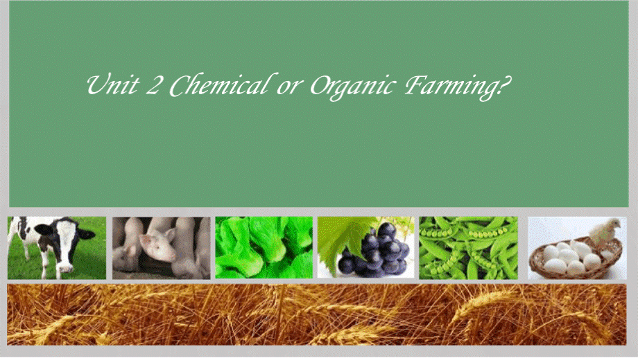 必修4Unit 2 Chemical or Organic Farming公开课优质获奖课件优质PPT.pptx