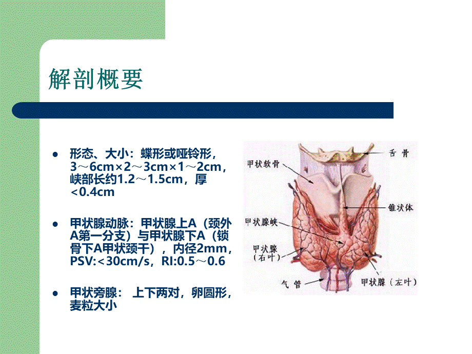 甲状腺与甲状旁腺PPT资料.ppt_第2页