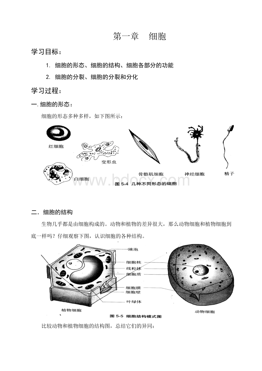 初高中生物衔接教材专题训练含答案全套打包Word下载.docx