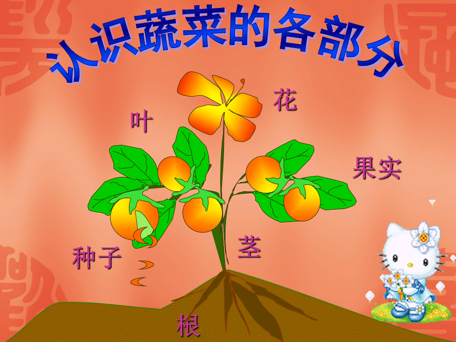 常识课件PPT：多种多样的蔬菜.ppt_第2页