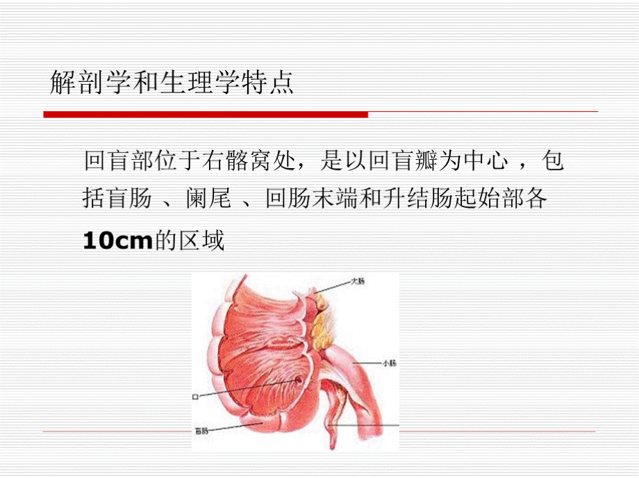 回盲部疾病的鉴别诊断资料.pptx_第2页