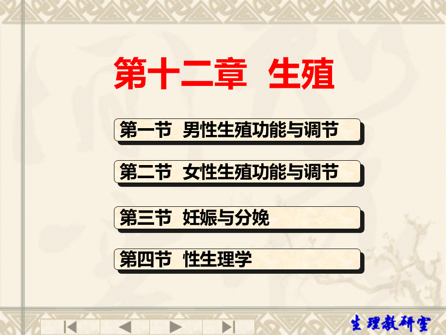 生理学——生殖系统课件PPT文档格式.ppt