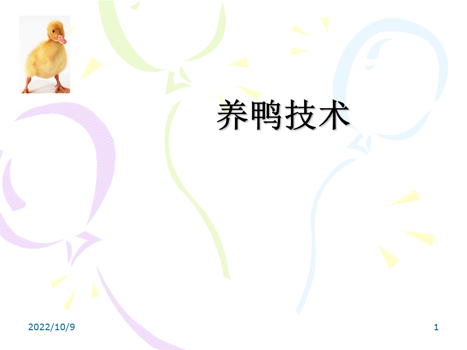 养鸭技术.ppt_第1页