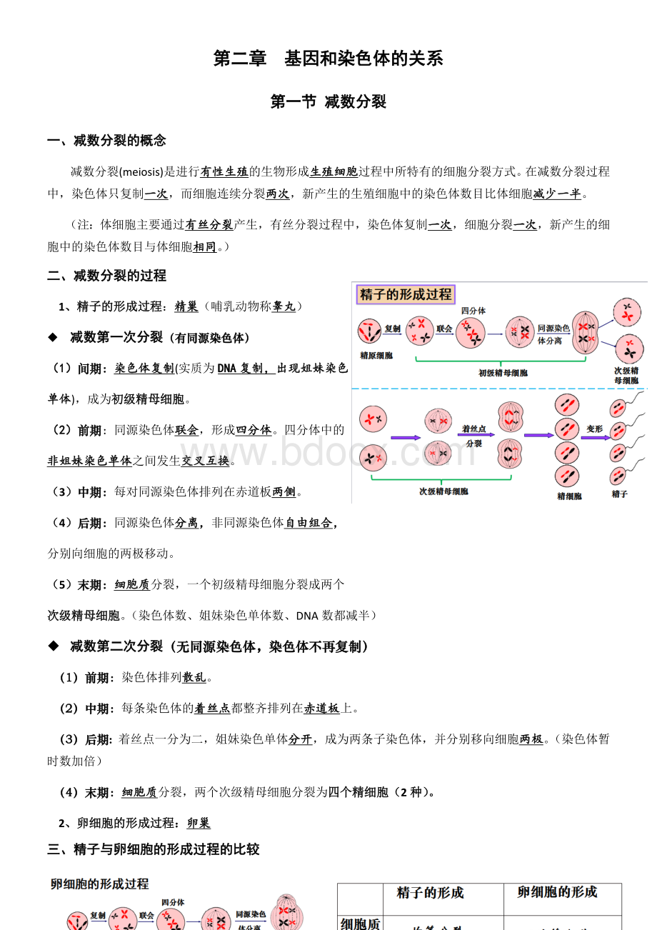 高中生物人教版必修二第二章知识点总结-1Word文件下载.docx