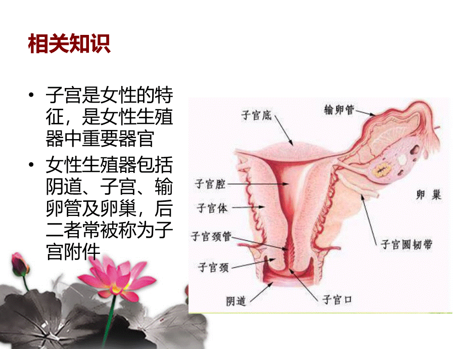 经腹全子宫切除术的手术配合 (2).ppt_第3页