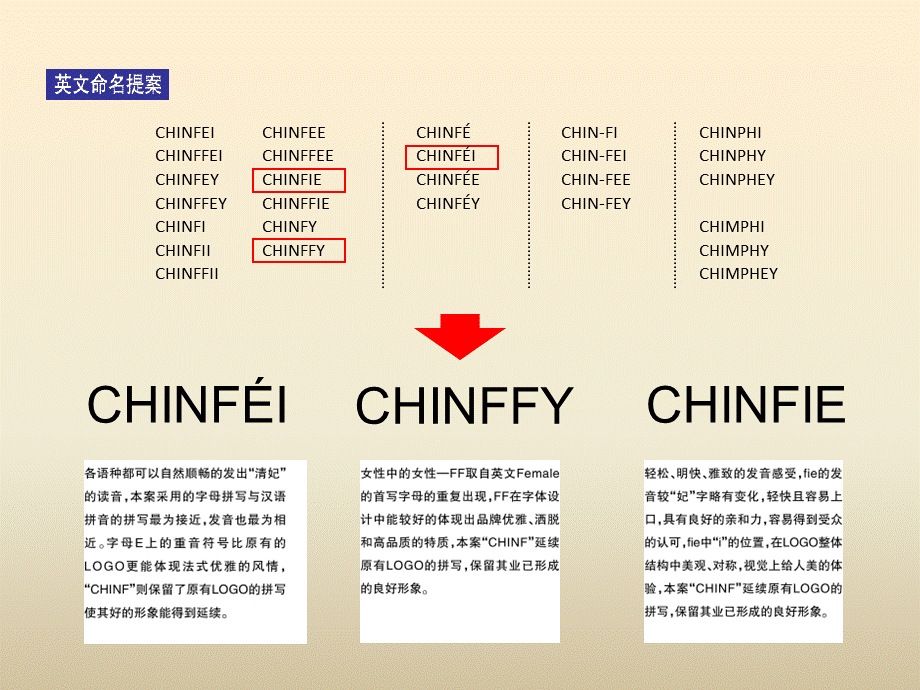 化妆品VI品牌整合提案PPT模板.ppt_第3页