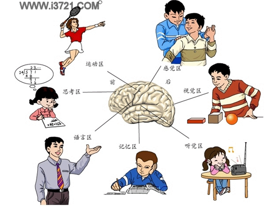 人的潜能到底有多大？.ppt_第3页