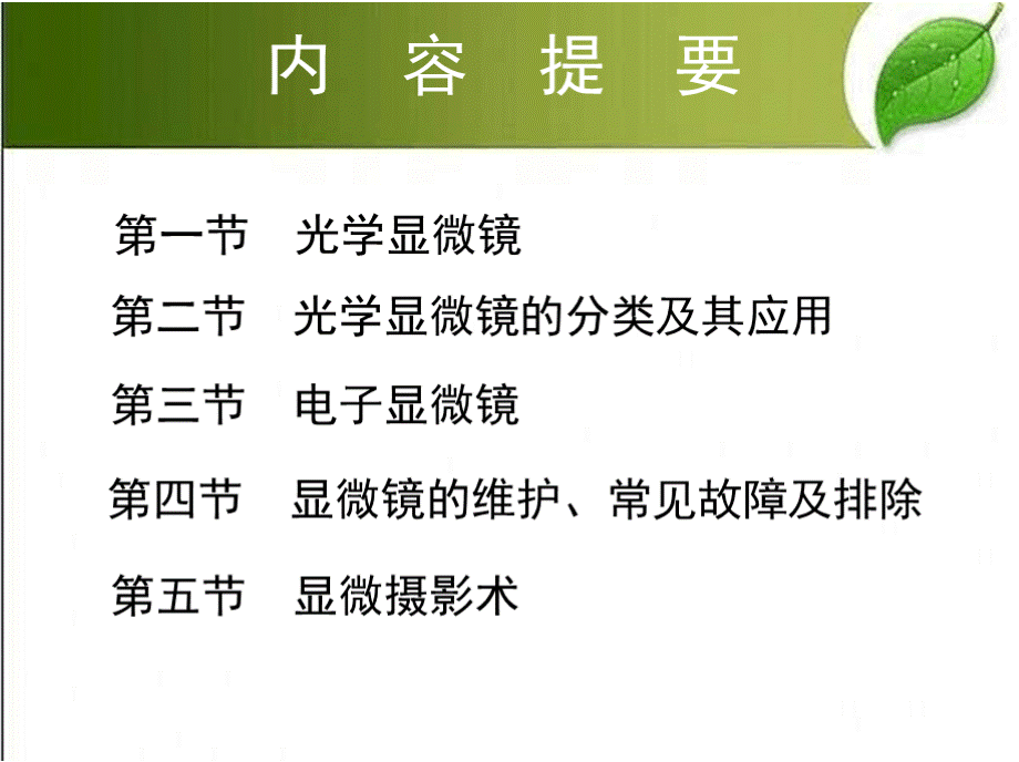 显微镜和显微镜技术 PPTPPT推荐.pptx_第3页