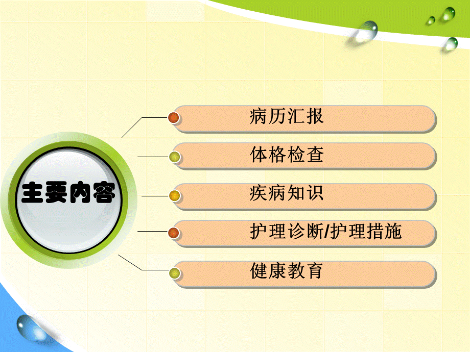 深静脉血栓护理查房PPT文档格式.ppt_第2页