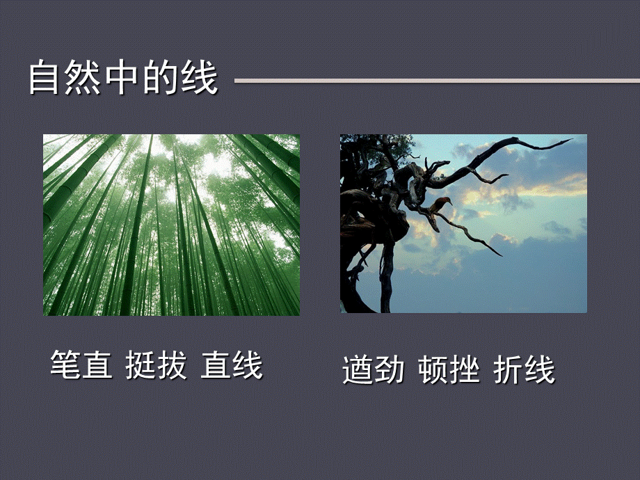 《线条的表现力》第一课PPT推荐.ppt_第3页