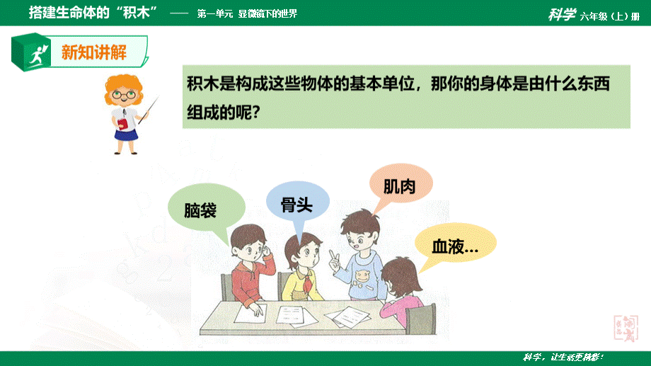 1.4《搭建生命体的“积木”》课件.ppt_第3页