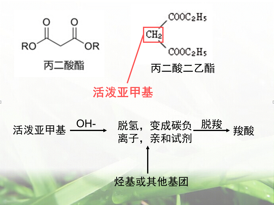 丙二酸酯合成法PPT课件下载推荐.ppt_第2页