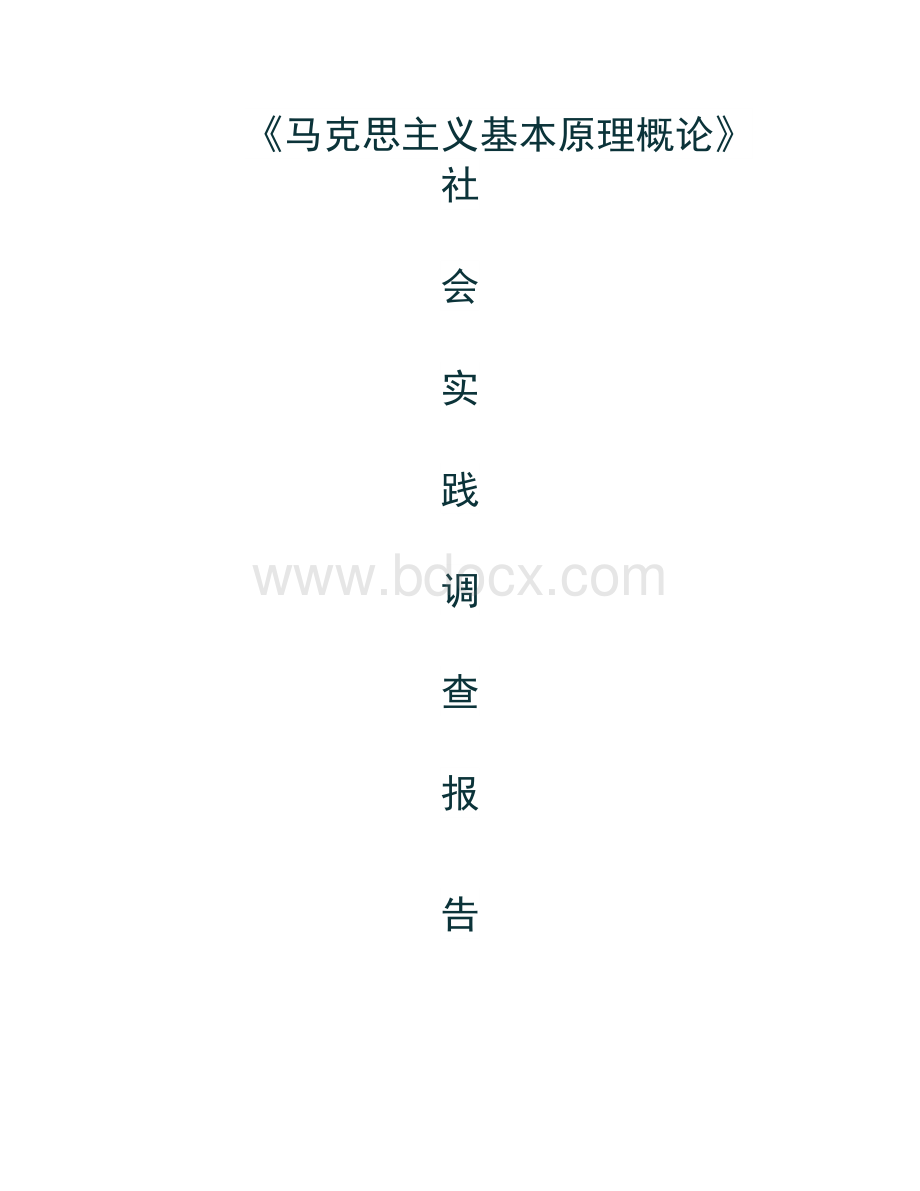 马原社会实践调查报告Word文档格式.doc