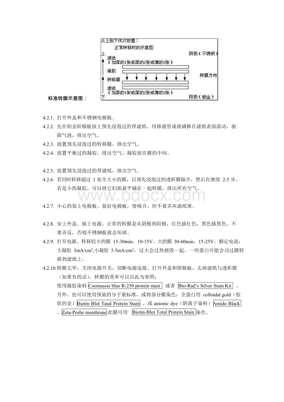 应用说明 Trans-Blot SD Cell[整理版]Word格式文档下载.docx_第3页