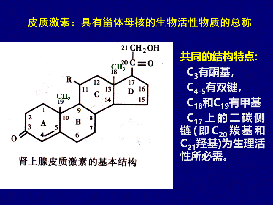 药理学 5肾上腺 糖皮质激素药.ppt_第3页