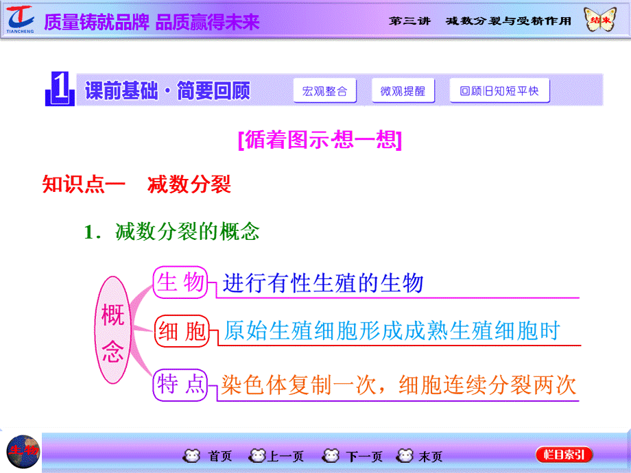 一轮复习 减数分裂与受精作用PPT课件.ppt_第2页