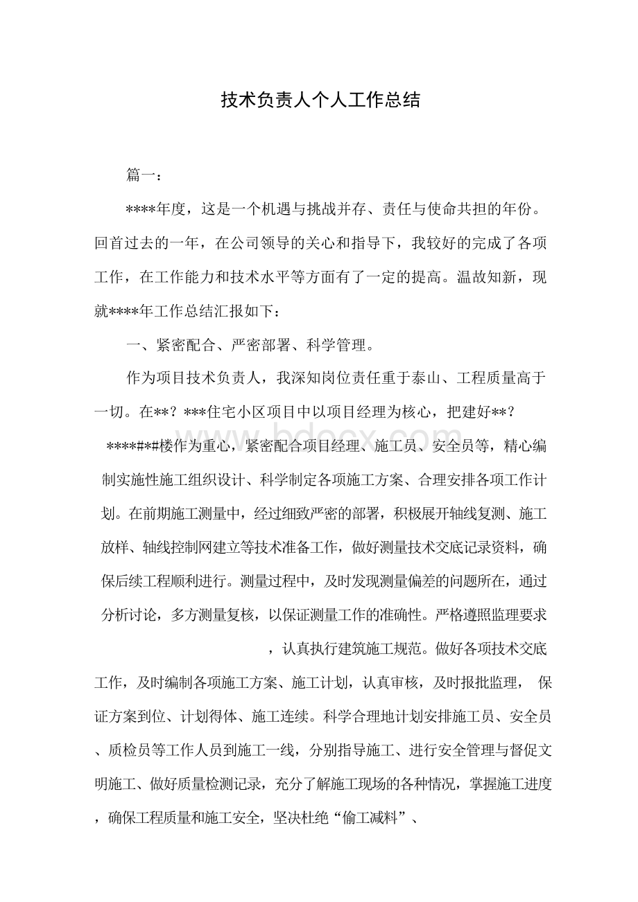 技术负责人个人工作总结.docx