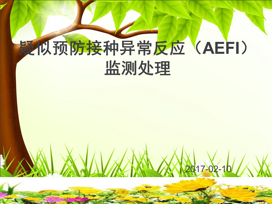 接种人员AEFI培训PPT课件.ppt_第1页